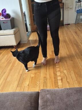 GAP Women's Skinny Jeans in Black